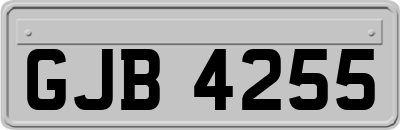 GJB4255