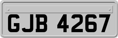 GJB4267