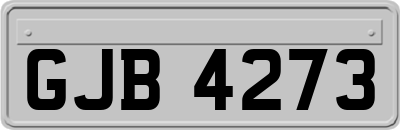 GJB4273