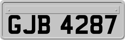 GJB4287