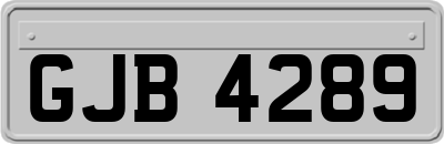 GJB4289
