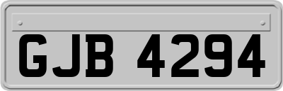 GJB4294