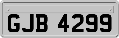 GJB4299