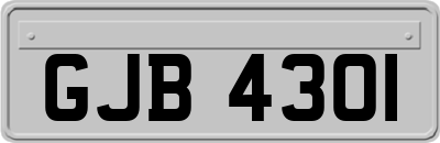 GJB4301