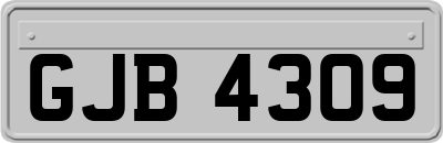 GJB4309