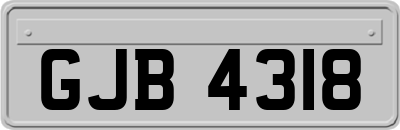 GJB4318