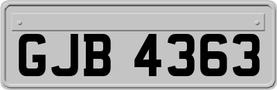 GJB4363