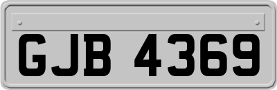 GJB4369