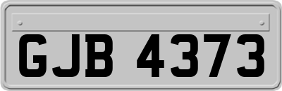 GJB4373