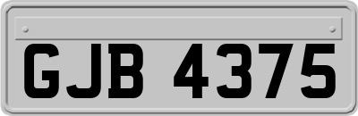 GJB4375