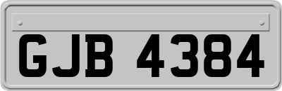 GJB4384