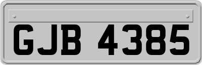 GJB4385