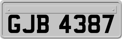 GJB4387