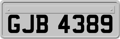 GJB4389