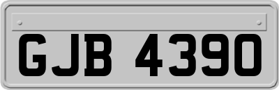 GJB4390