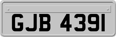 GJB4391