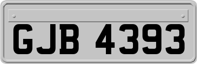 GJB4393