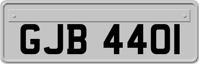 GJB4401