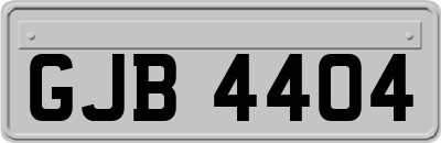 GJB4404