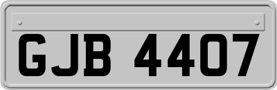 GJB4407
