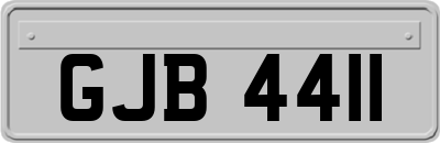 GJB4411