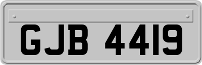 GJB4419