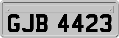 GJB4423