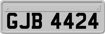 GJB4424