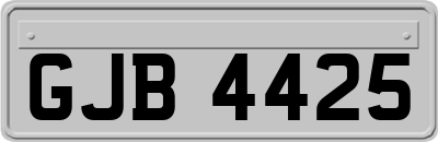 GJB4425