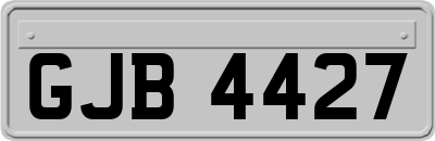 GJB4427