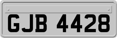 GJB4428