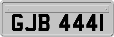 GJB4441