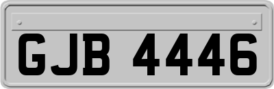 GJB4446