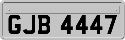 GJB4447