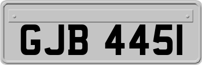 GJB4451