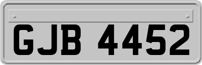 GJB4452