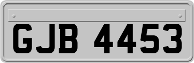 GJB4453