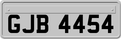 GJB4454
