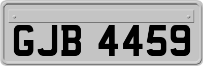 GJB4459