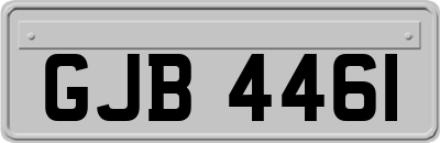 GJB4461