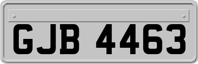 GJB4463
