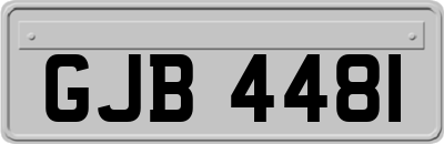 GJB4481