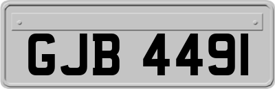 GJB4491