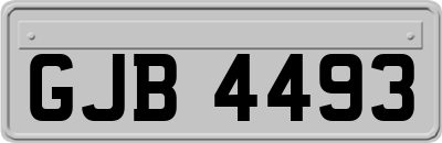 GJB4493
