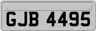 GJB4495