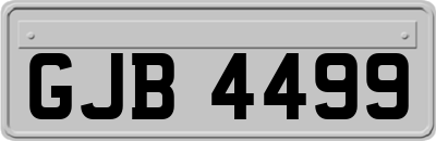 GJB4499