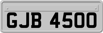 GJB4500