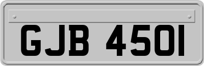GJB4501