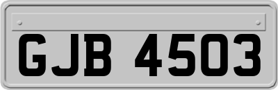 GJB4503