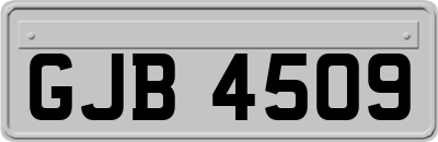 GJB4509